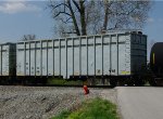 NS 202054